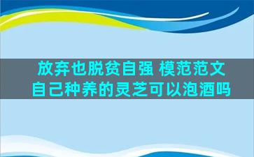 放弃也脱贫自强 模范范文自己种养的灵芝可以泡酒吗